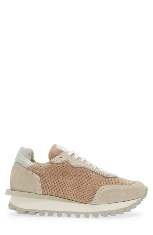 Shop Eleventy Perforated Low Top Sneaker In Camel And Sand And Light Grey