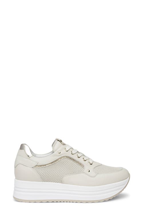 Shop Nerogiardini Perfed Platform Sneaker In Beige/khaki