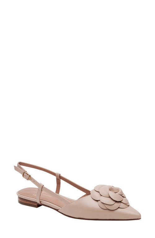 Linea Paolo Cammy Slingback Pointed Toe Flat in Blush Pink