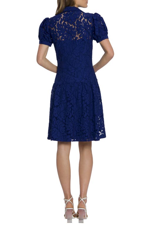 Shop Maggy London Cotton Blend Lace Fit & Flare Shirtdress In Bellwether Blue