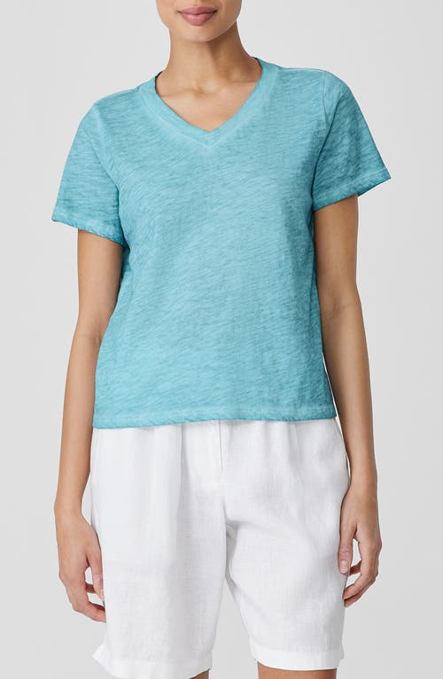 Eileen Fisher V-Neck Organic Cotton T-Shirt at Nordstrom