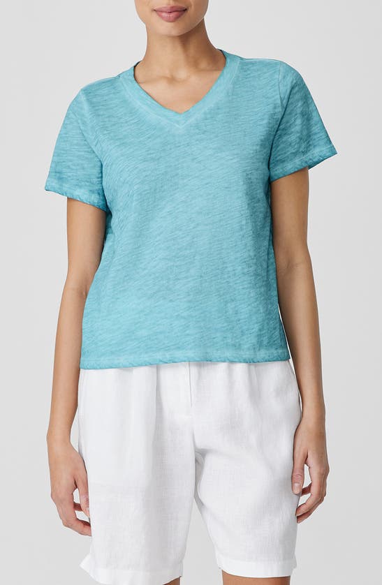 Shop Eileen Fisher V-neck Organic Cotton T-shirt In Seafoam