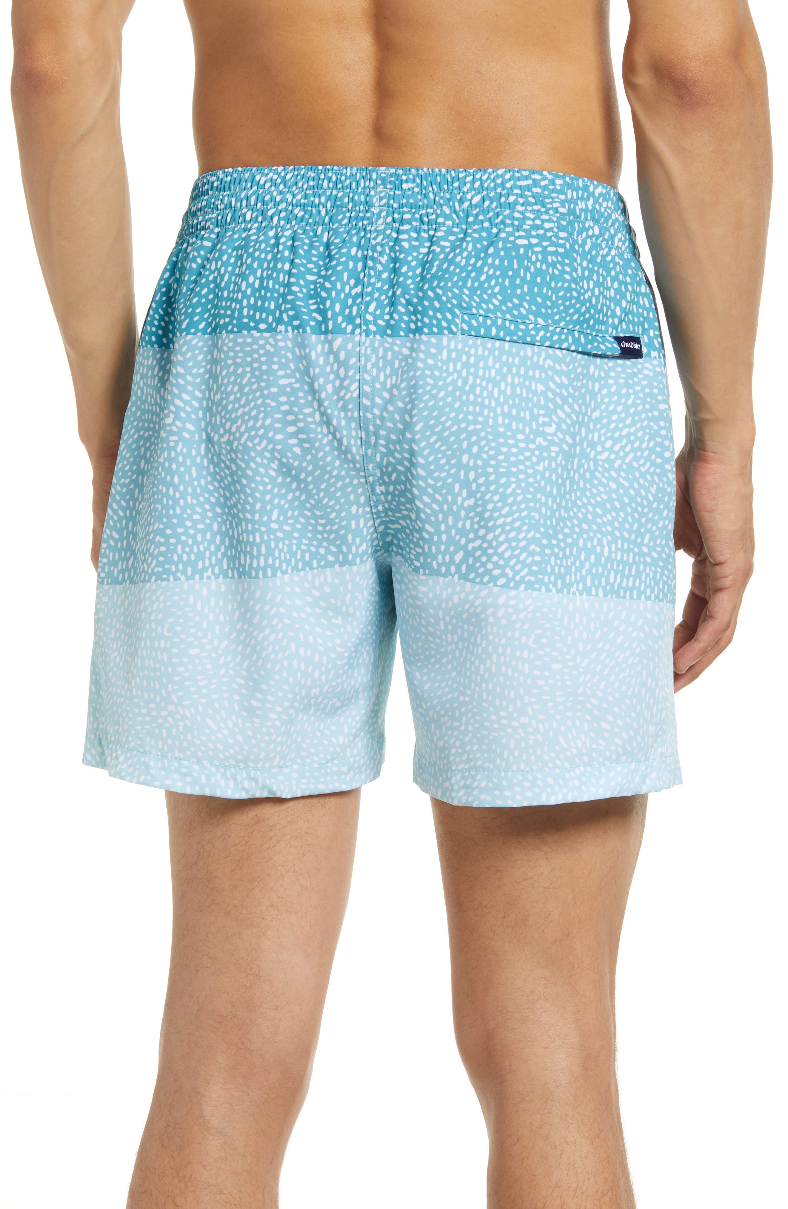 Chubbies 5.5Inch Swim Trunks Nordstrom
