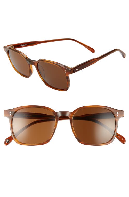 Dean 51mm Square Sunglasses in Brandy/Brown