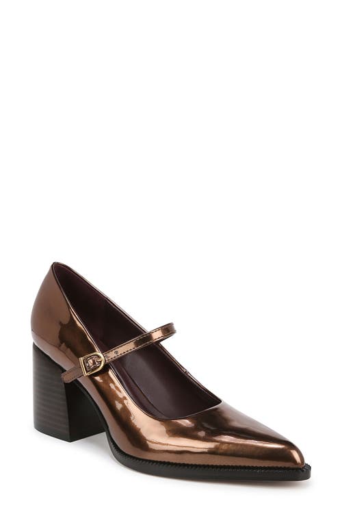 Shop Franco Sarto Diane Mary Jane Pointed Toe Pump In Bronze