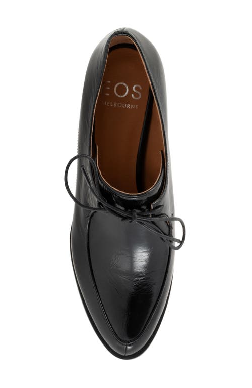 Shop Eos Footwear Casi Derby In Black Patent