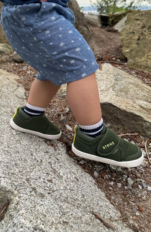 Stonz Kids' Cruiser Sneaker In Cypress Lantern Green