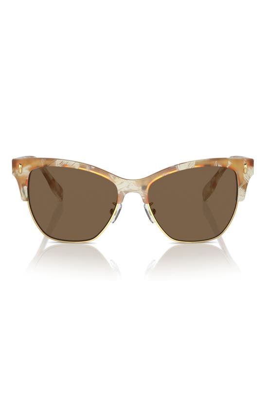 Shop Tory Burch 53mm Cat Eye Sunglasses In Dark Brown