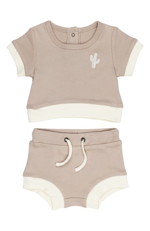 L'Ovedbaby Embroidered Organic Cotton T-Shirt & Shorts Set Oatmeal Cactus at Nordstrom,