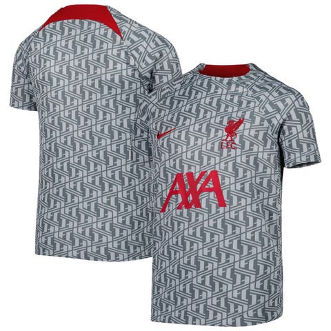 Nike 2021-22 Liverpool DF Pre-Match Jersey - Grey M 