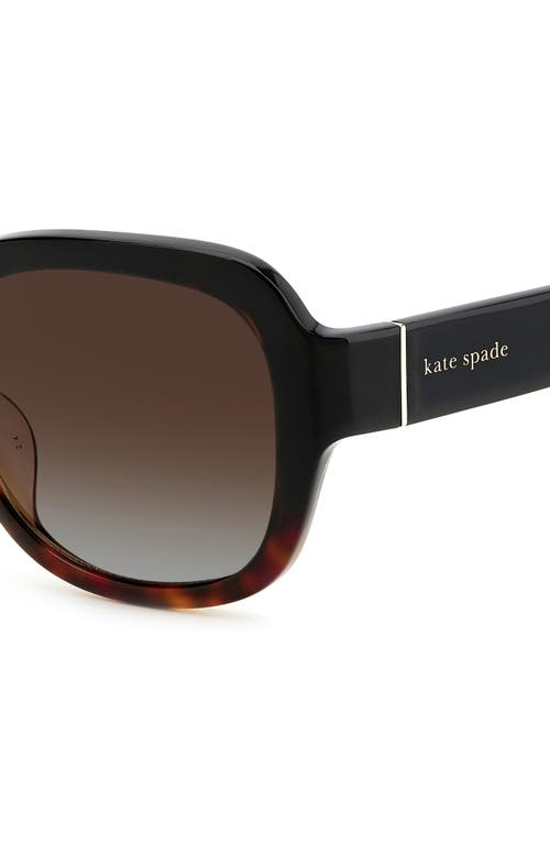 Kate Spade New York Laynes 55mm Gradient Sunglasses In Black Havana/brown Polar