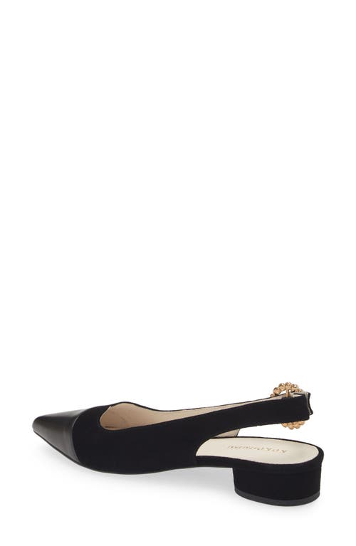 Shop Koko + Palenki Stella Pointed Cap Toe Slingback Pump In Black Suede