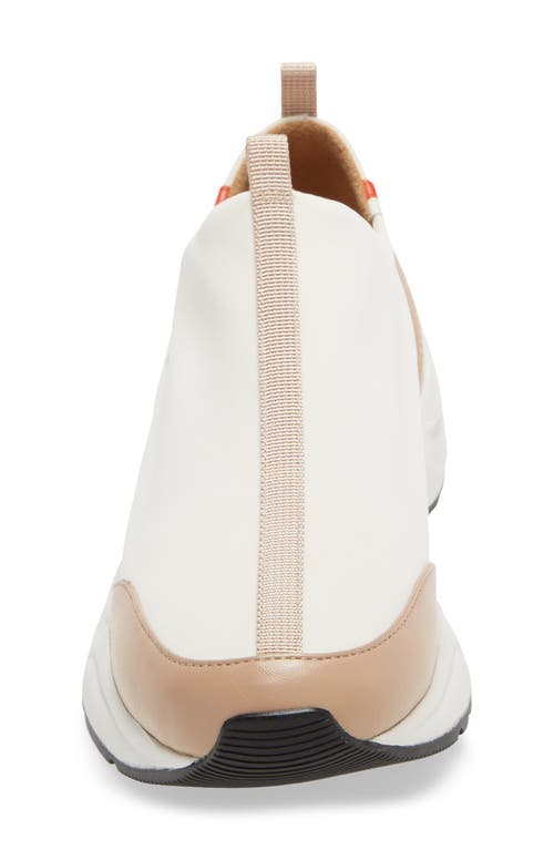LINEA PAOLO LINEA PAOLO ROBBIE SLIP-ON SNEAKER 