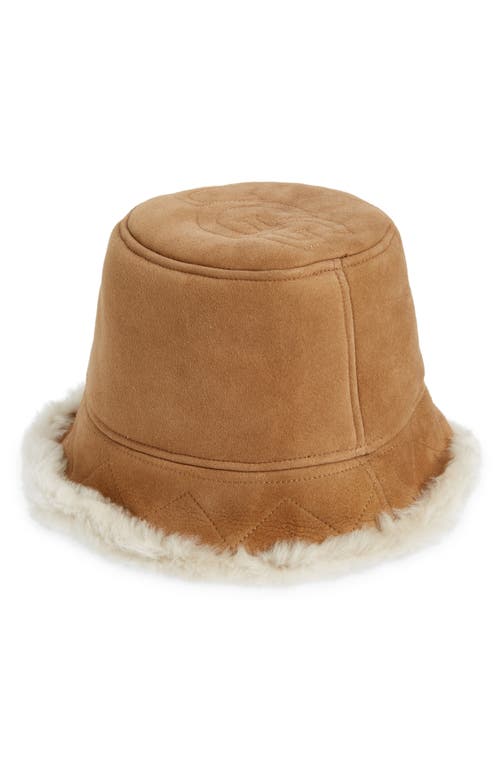 UGG(r) Tasman Stitch Genuine Shearling Bucket Hat in Chestnut