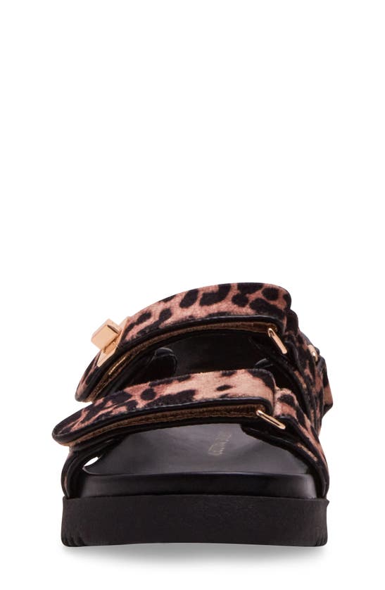 Steve Madden Mona Sandal In Leopard Velvet