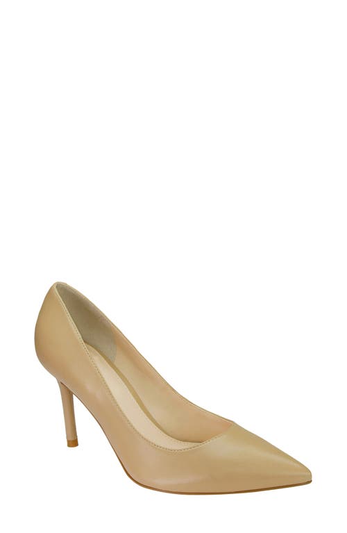 Salley Pointed Toe Pump in Taupe