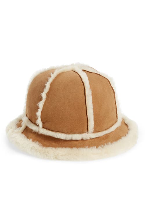 UGG(r) Women's Genuine Shearling Bucket Hat in Chestnut