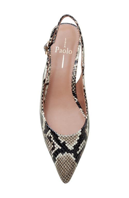 Linea Paolo Cecil Slingback Pointed Toe Kitten Heel Pump In Natural