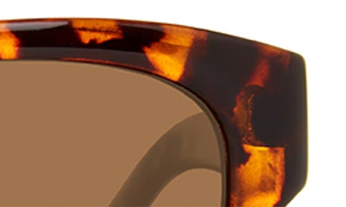 Shop Eddie Bauer 51mm Oval Polarized Sunglasses In Tortoise/brown