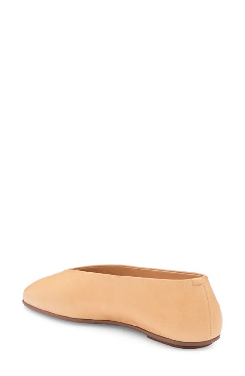 Shop Jeffrey Campbell Fathom Flat In Buff