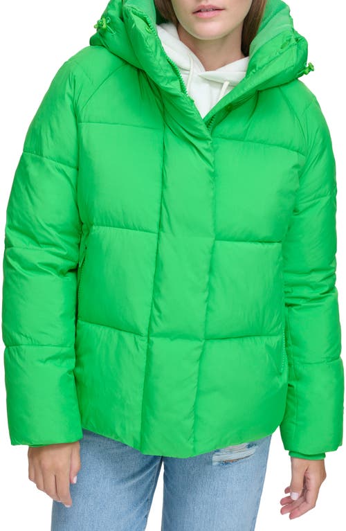 levi's Hooded Puffer Jacket at Nordstrom,