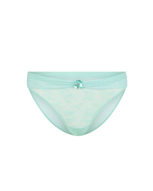 Shop Adore Me Wren Bikini Panties In Light Blue