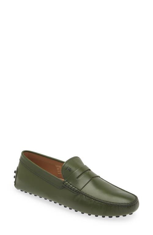 Tod's Calfskin Leather Driving Loafer Pesto at Nordstrom,