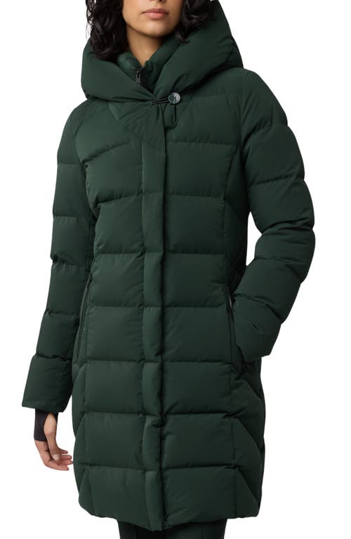 Soia & Kyo Sonny Water Repellent 700 Fill Power Down Hooded Coat in Evergreen 