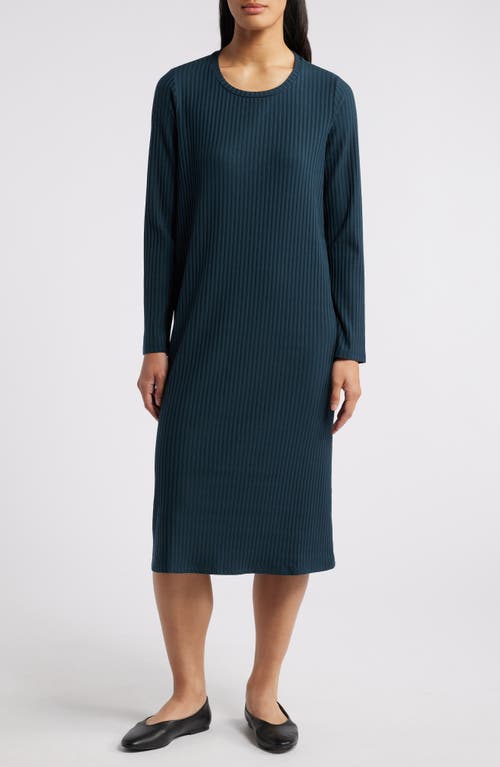 Shop Eileen Fisher Long Sleeve Rib Dress In Deep Adriatic