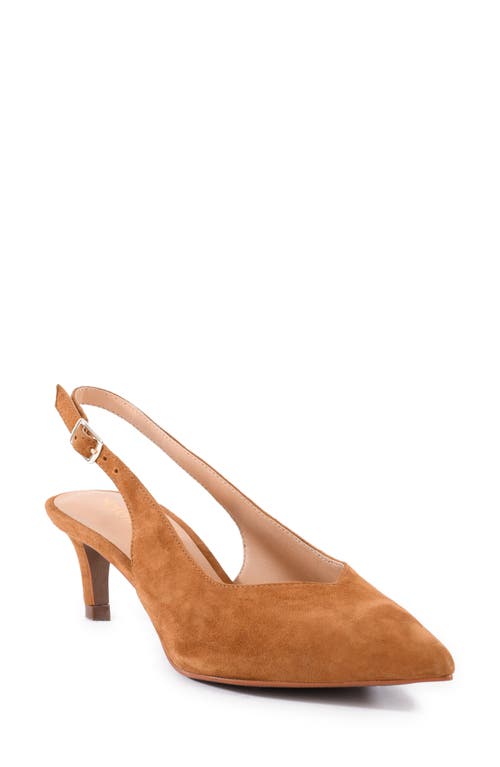 Shop Seychelles Candlelight Slingback Pointed Toe Kitten Heel Pump In Tan