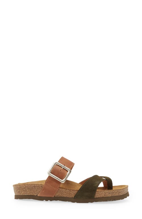 Shop Naot Fresno Slide Sandal In Latte Brown/oily Olive