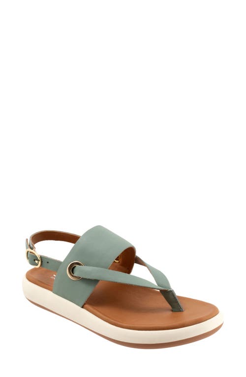 SoftWalk Joliet Slingback Sandal at Nordstrom