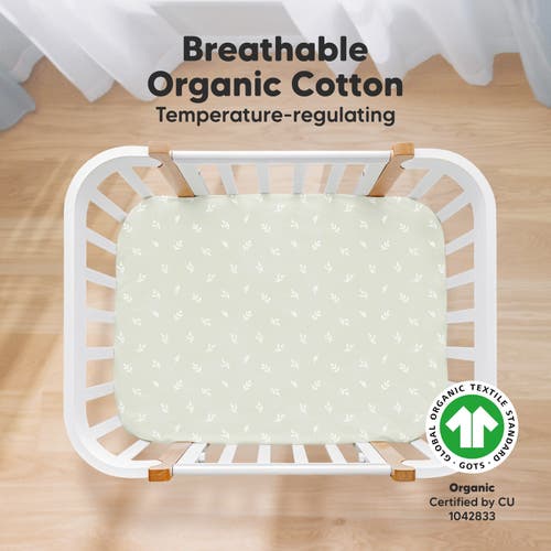 Keababies Soothe Fitted Mini Crib Sheet In Herb