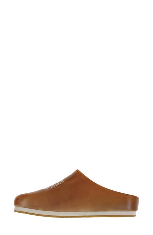 Sas Hinny Mule In Chestnut