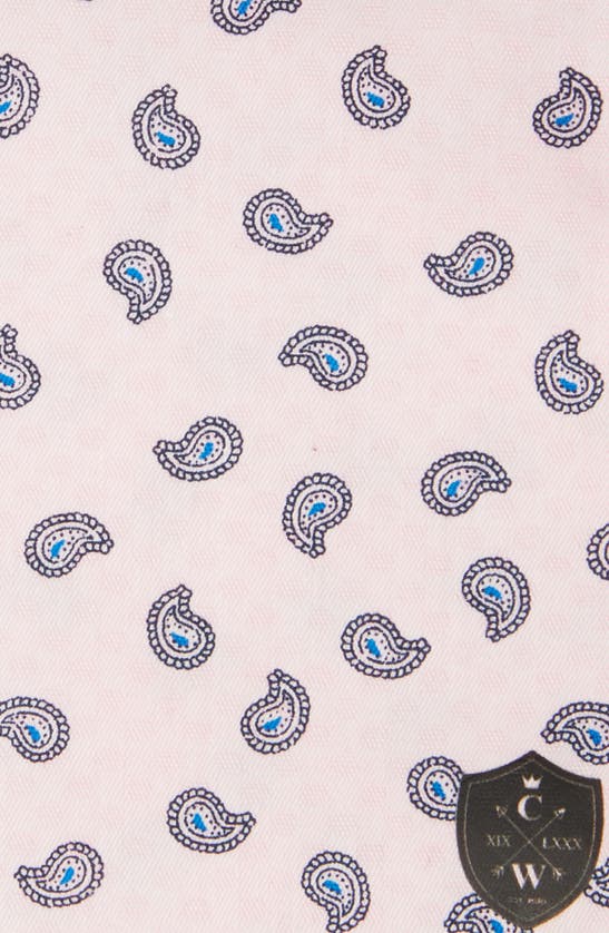 Clifton Wilson Paisley Cotton Pocket Square In Pink