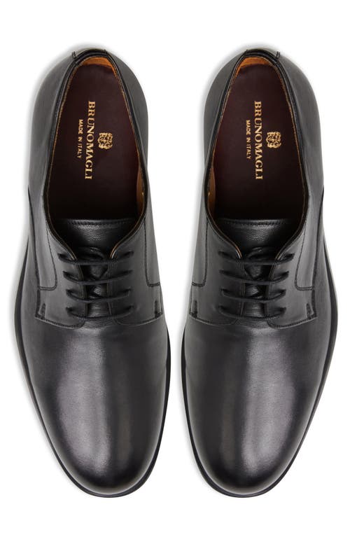 Shop Bruno Magli Comodo Plain Toe Derby In Black