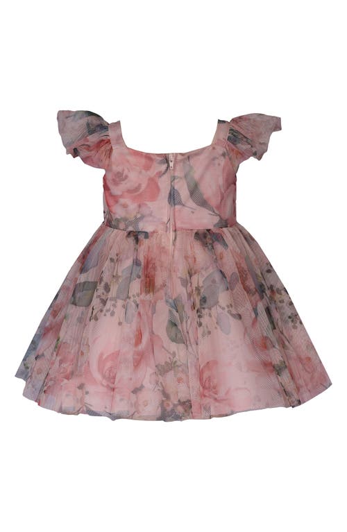 Shop Iris & Ivy Floral Mesh Party Dress In Blush