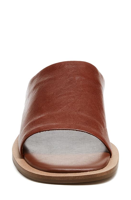 Kelsi Dagger Brooklyn Benny Slide Sandal In Cider
