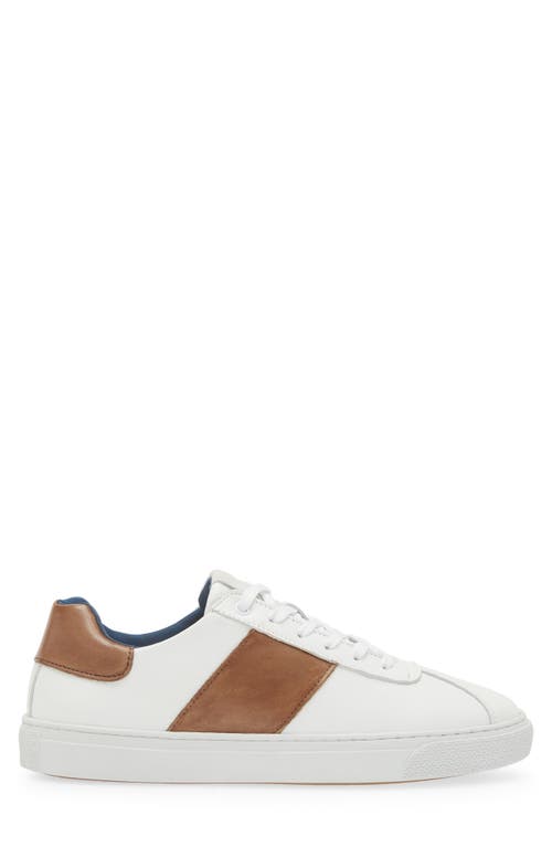 G Brown Jolt Low Top Sneaker In White/taupe