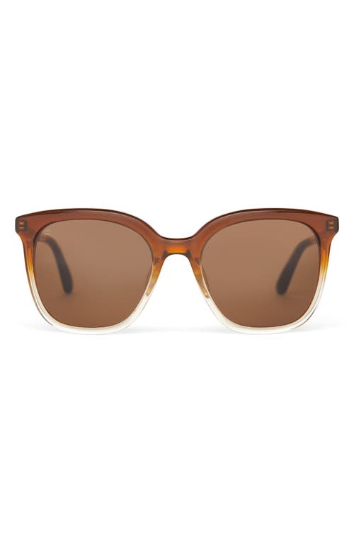 Toms Charmaine 54mm Square Sunglasses In Cappuccino Champange Fade