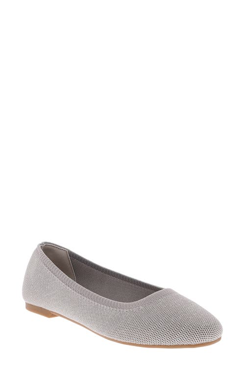 Mia Brendy Ballet Flat In Silver
