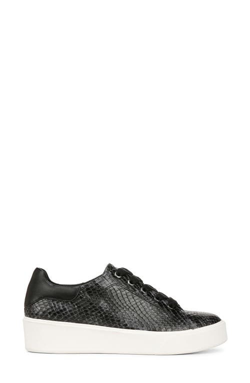 Shop Naturalizer Morrison 2.0 Sneaker In Black/grey