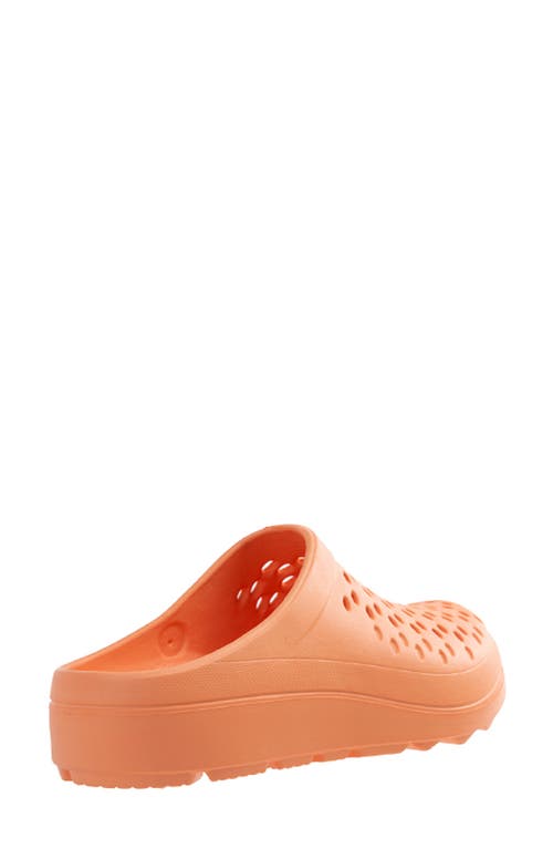 Revitalign Fusion Vitality Clog In Apricot Illusion