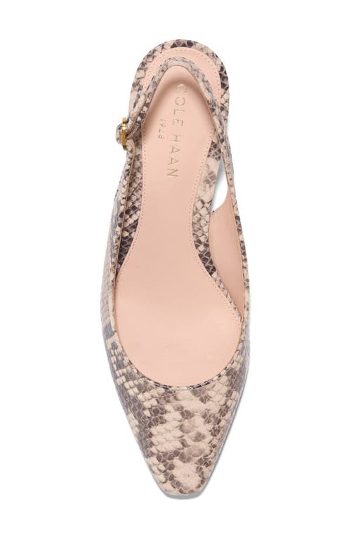 Shop Cole Haan Tayla Slingback Kitten Heel Pump In Cashmere Snake Embossed