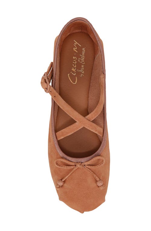 Shop Circus Ny By Sam Edelman Zuri Ballet Flat In Cinnamon Sugar