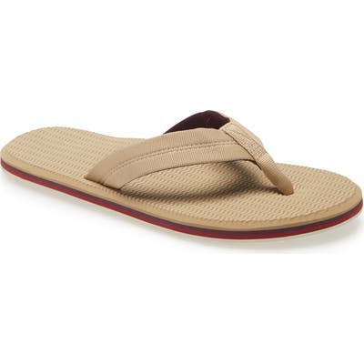 Hari Mari Dunes Ii Flip Flop, Brown