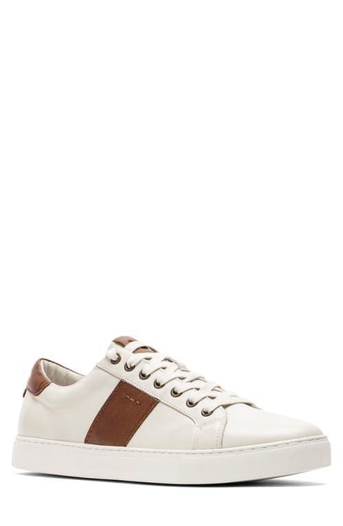 Shop Rodd & Gunn Endeavour Cruise Sneaker In Chalk