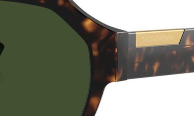 Dolce & Gabbana Logo-engraved Sunglasses In Havana