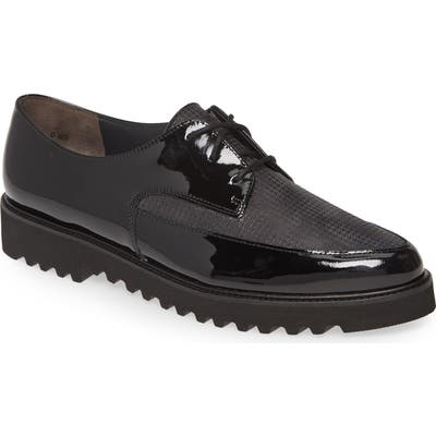 Paul Green Basha DerbyUS /4UK - Black