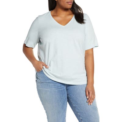 Plus Size Eileen Fisher V-Neck Organic Cotton Tee